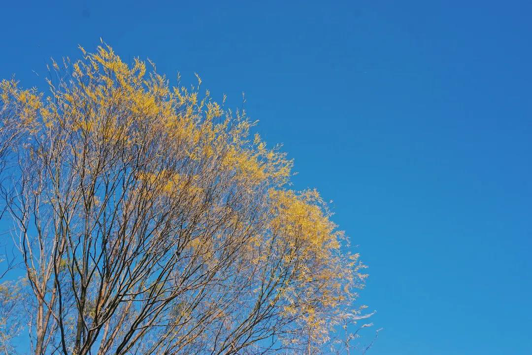 d53e66be2c4546109b48acf19635a949.png d53e66be2c4546109b48acf19635a949.png