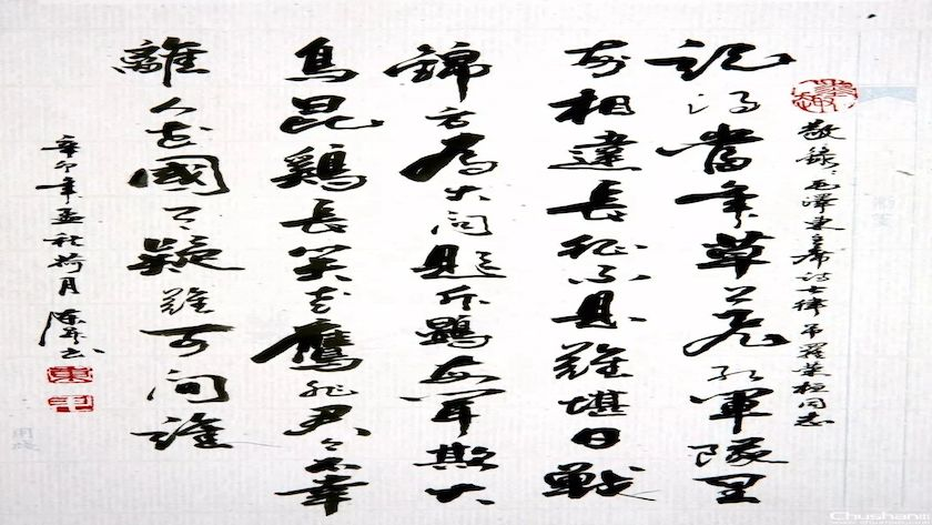 图片5.png